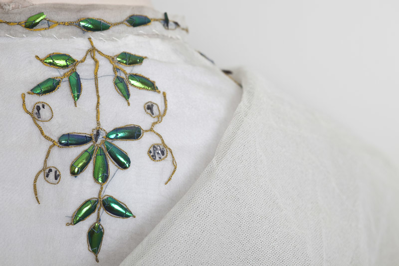 3291 Beetle wing dress detail (Fin Macrae).jpg 3291 Beetle wing dress detail (Fin Macrae).jpg