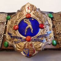 Image of AA Cameron Belt