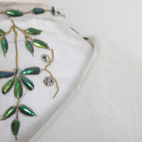 3291 Beetle wing dress detail (Fin Macrae).jpg