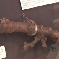 1277 Iain Lom stick.jpg